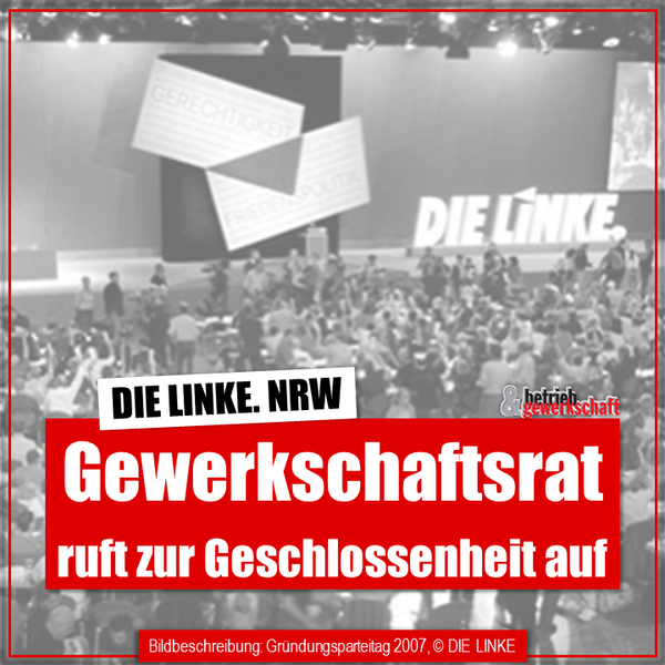 Abwehrkämpfe gemeinsam führen - weil es DIE LINKE auch weiterhin braucht!